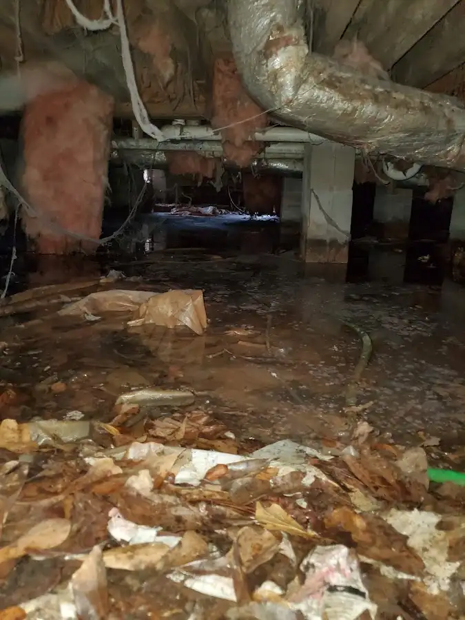Crawl space flood assessment for Commercial Water Damage Restoration in Wheat Ridge