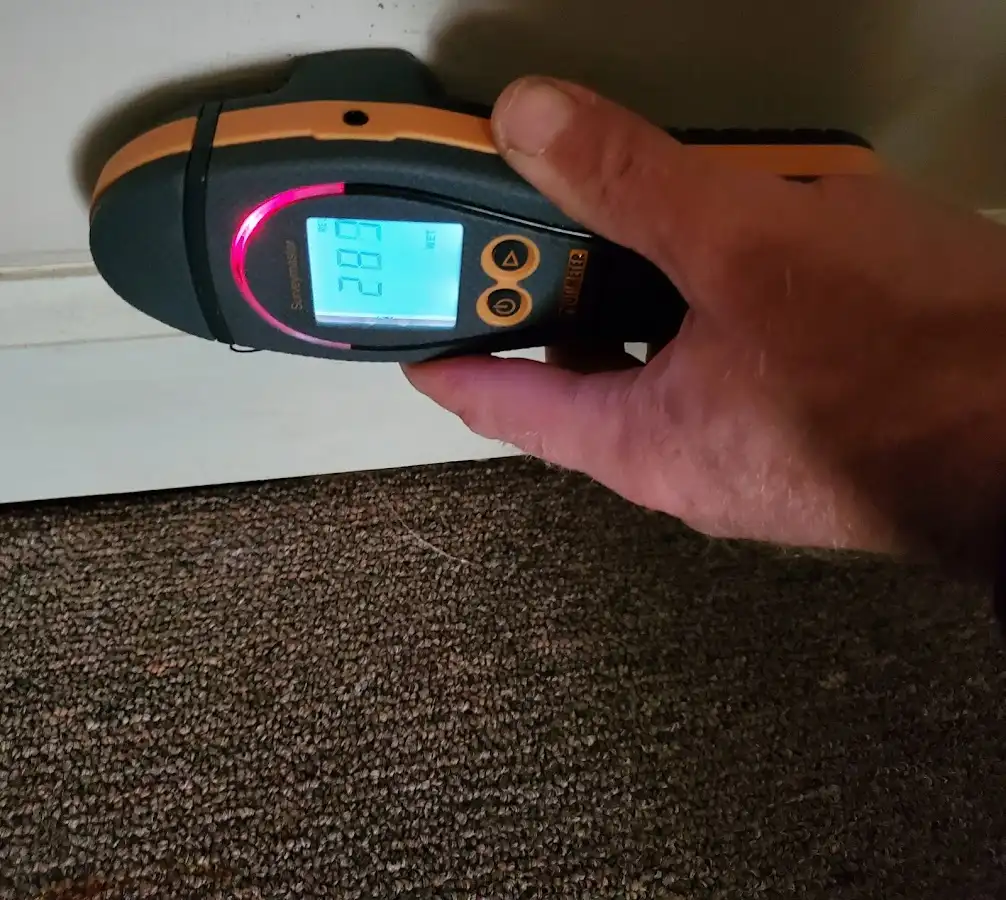 Moisture detection at baseboard during Sewage Cleanup & Sanitation in Wheat Ridge